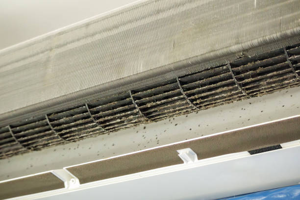 Best Professional Duct Cleaning Services  in Hansville, WA